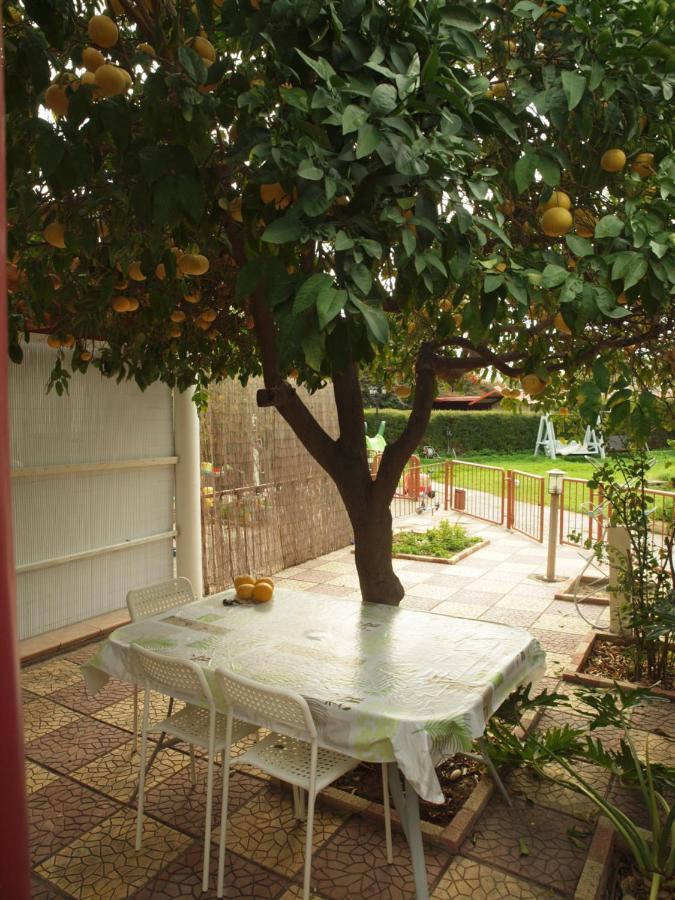 Moon-Light Studio Otel Larnaca Dış mekan fotoğraf