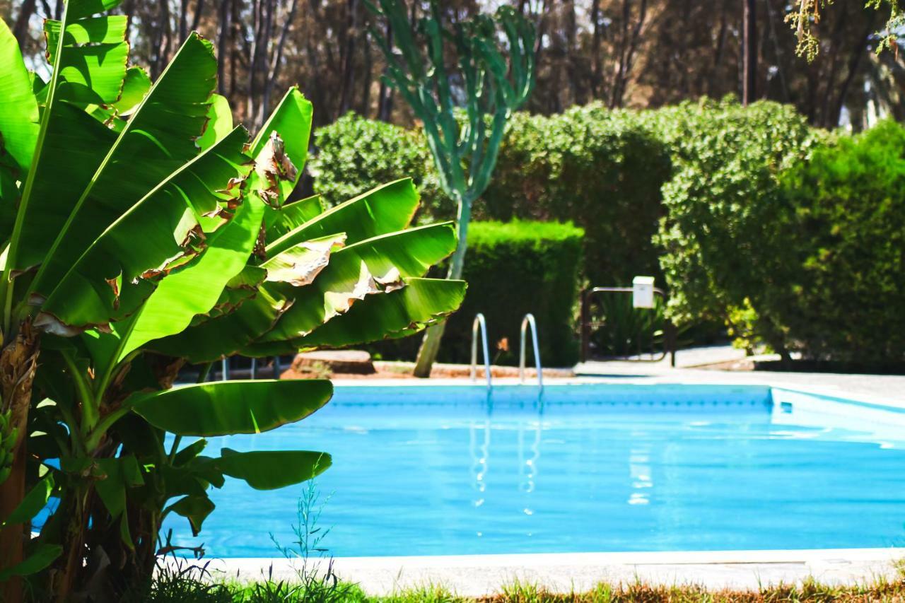Moon-Light Studio Otel Larnaca Dış mekan fotoğraf