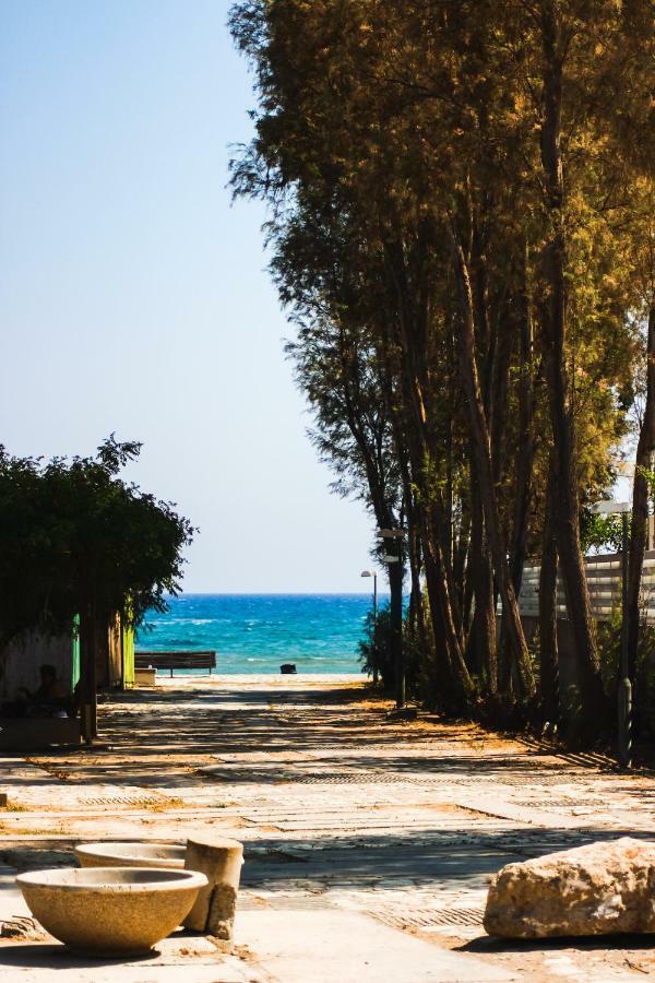 Moon-Light Studio Otel Larnaca Dış mekan fotoğraf
