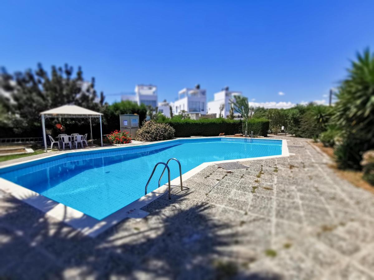 Moon-Light Studio Otel Larnaca Dış mekan fotoğraf